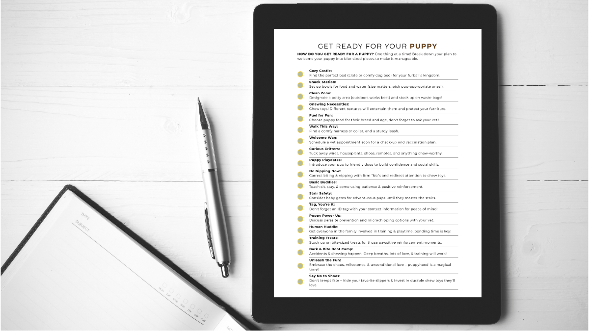 Get Ready For Your Puppy