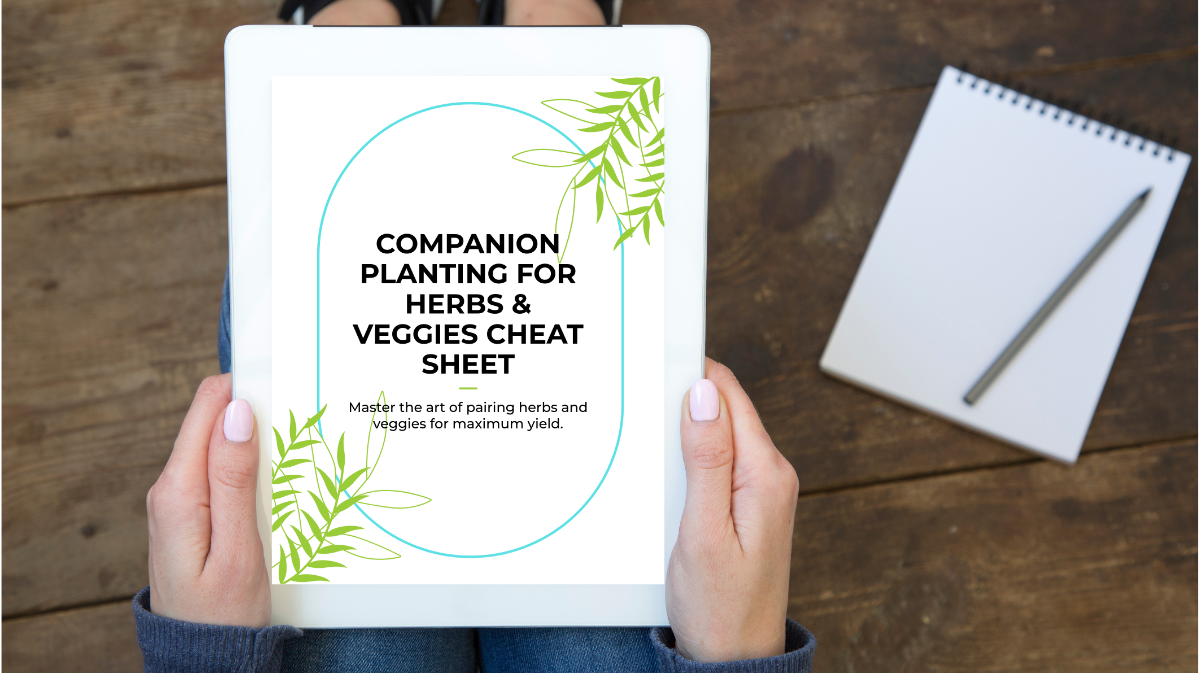 Companion Planting for Herbs and Veggies Cheat Sheet